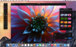 Best Photo Editing Apps for Mac – Make Every Picture Perfect
