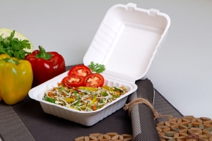 Bagasse Containers for Home Use: Eco-Friendly Storage Solutions