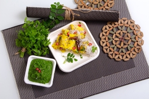 Innovative Uses of Sugarcane Plates in Food Presentation: A Business Perspective