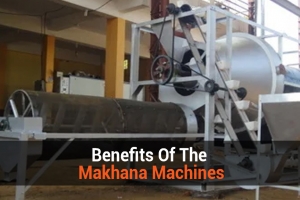 The Unmatched Benefits Of The Makhana Machines 