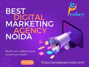 Why Probey Services Is the Best ECommerce Website Development Agency in Noida