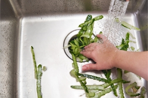 The Dangers of Ignoring a Leaking Garbage Disposal