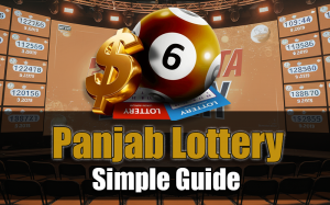 Check Your Panjab Data Lottery Results Online: A Simple Guide