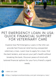 Pet Emergency Loan