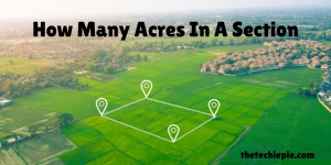 How Many Acres In A Section? A Simple Guide to Acres and Sections