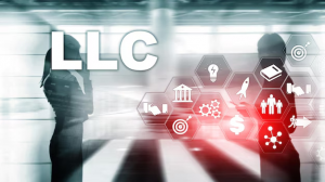 Why Every Entrepreneur Should Consider Setting Up an LLC