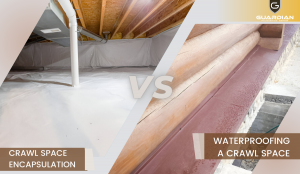 Crawl Space Encapsulation Vs. Waterproofing