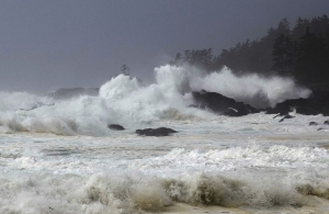 Ucluelet Magic: Cozy Vacation Rentals for Every Season