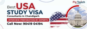 How Can USA Study Visa Consultants Help Streamline the Application Process?