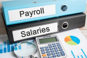 How Can Payroll Services Benefit Large Companies?