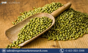 Global Mung Beans Market 2024-2032: Growth Trends, Market Dynamics, and Future Outlook