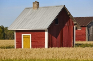 Transform Your Ontario Barn with Vibrant Paint Colors and Expert Techniques