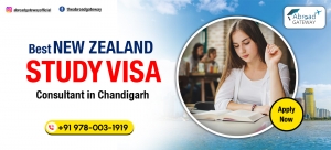 Highly-Rated New Zealand Study Visa Consultants in Chandigarh