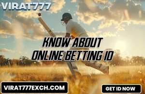 Top Online Betting ID Provider - Safe & Reliable