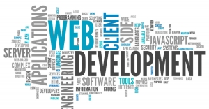 Partner with a Leading Website Development Company in Mohali