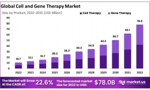 Cell and Gene Therapy: The Role of Personalized Medicine