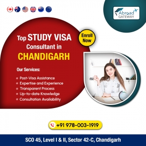 Tips to Finding the Best Visa Consultants in Chandigarh