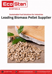 Biomass Pellet Suppliers: Key Factors to Consider Before Making a Purchase