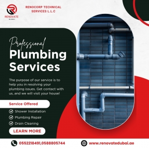 5 Reasons to Call a Professional Plumber in Dubai