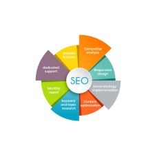 Best SEO Company in India — Expert Optimization Services