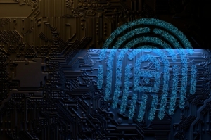 Harnessing the Power of Fingerprint Services - An In-Depth Guide
