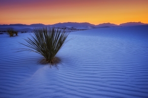 Exploring the Captivating World of AFJG Desert Photography