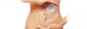 Achieve Weight Loss Goals with a Gastric Balloon Placement in Dubai