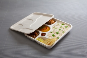 Bagasse Plates and Health: Are They Safe for Hot and Cold Foods?