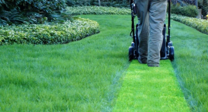 10 Expert Strategies for Maintaining High Quality Lawn Care