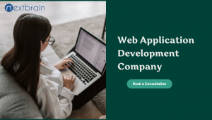 What are the top benefits of hiring a web application development company?