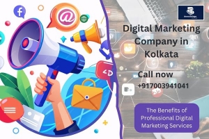 The Benefits of Professional Expert Digital Marketing Services