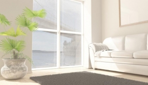 Four Tips to Choose Roller Shades for Windows: No One Will Tell You