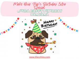 Make Your Pup's Birthday Extra Special with a Happy Birthday Bandana