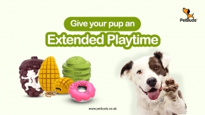 Give Your Pup an Extended Playtime with Indestructible Dog Toys