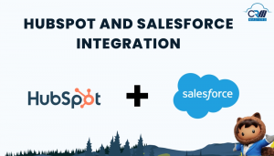 HubSpot And Salesforce Integration