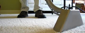 Expert Area Rug Cleaning in Kenilworth: Your Guide to Maintaining Beautiful Rugs