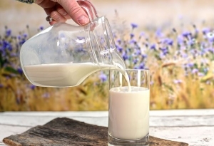 Discover the Benefits of Milk Depot: Fresh Filtered Milk at Home