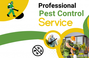 Effective Pest Control Solutions What Home Owners Need to Know