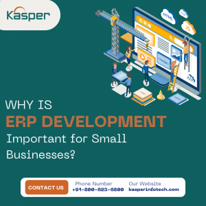 Why Is ERP Development Important for Small Businesses?