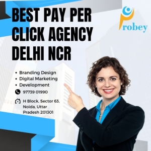 Maximizing Your ROI with the Best Pay Per Click Agency in Delhi NCR