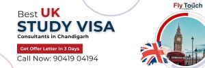 How Do UK Visa Consultants Stay Updated with the Latest Immigration Rules and Regulations?