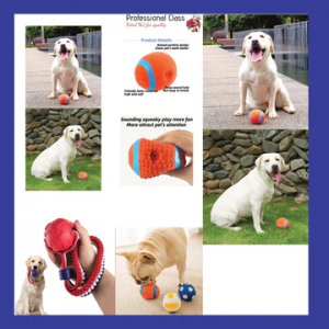 Essential Dog Accessories: Enhance Your Furry Friend’s Comfort and Joy