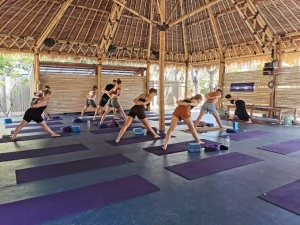 Explore Lombok Yoga: A Journey to Wellness