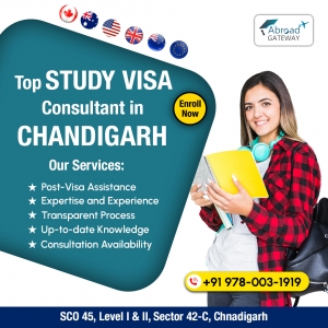 Visa Consultants in Chandigarh for Your Needs