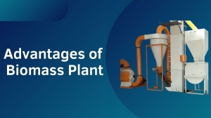 Biomass Plant Manufacturers