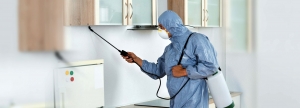 Top Pest Control Services in Nerul, Kharghar, and Kopar Khairane – Effective Mosquito Control by Alliance Pest Control