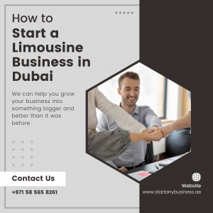 How to Start a Limousine Business in Dubai: A Comprehensive Guide