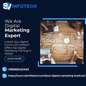 S2VInfotech: Best Digital Marketing and Website Services