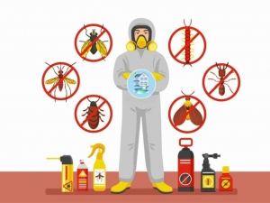 How to Find the Best Pest Control Services in Lahore