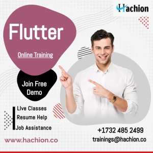 The bestMaster Flutter Development with Hachion